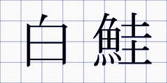 白鮭